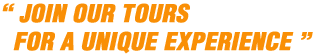Our excursions for a unique experience